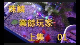 【水族系列】珠鱗EX業餘玩家 上集