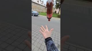 habosh babosh  #viralvideo #cocacola #shorts #youtube #trending  #trend
