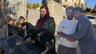 Razia and her children's good deed: taking a dog from the city to open its hands