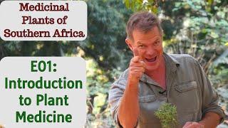 Medicinal Plants of Southern Africa E01: Introduction to Plant Medicine