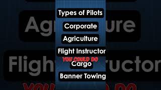 Roles in Aviation