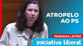 IMIGRAÇÃO: MARIANA LEITÃO ATROPELA O PS