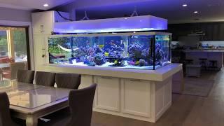 675 gallon Rainbow Reef tour