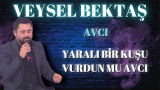 VEYSEL BEKTAŞ - YARALI BİR KUŞU VURDUN MU AVCI