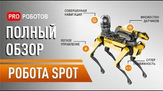 Робот Boston Dynamics Spot: распаковка и полный обзор самого крутого робота в мире