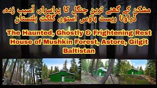 Mushkin Forest Rest House | Dashkin | Astore Valley | Gilgit-Baltistan | Wanipedia Pakistan