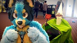 This is what 17,639 Furries Do at Anthrocon: Day 2 Fursuit Compilation | 2024