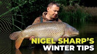 Nigel Sharp's Winter Carp Fishing Tips and Tricks