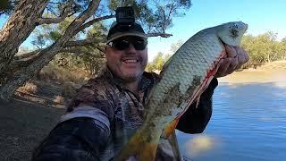 Fishing the Balonne River near Beardmore Dam / Lake Kajarabie