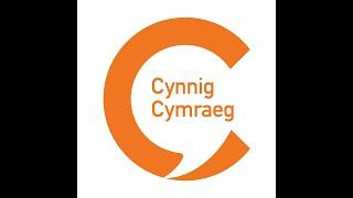 Cynnig Cymraeg (dwyieithog)