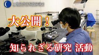 持続可能な水産業への取り組み 三重県水産研究所と栽培漁業センター