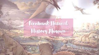 Our Visit to the Fernbank Natural History Museum - Atlanta