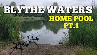 BLYTHE WATERS HOME POOL PART 1 | SUMMER CARP FISHING 2024