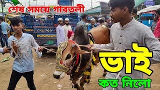 Bhai Koto Nilo 2024 | Gabtoli Cattle Market | Gabtoli Gorur Haat 2024 | Gorur Haat Update p- ১৬