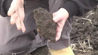 Visual soil assessment 4: Porosity, mottling and colour