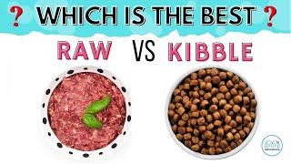 Raw vs Kibble Dog Food. Which is better? Explained with Pros & Cons of feeding. || Monkoodog