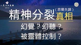 未知的真相17/思覺失調症 /幻聽.幻視.幻覺/被害妄想/精神分裂/解決方法/人們所不知的另一個真相/