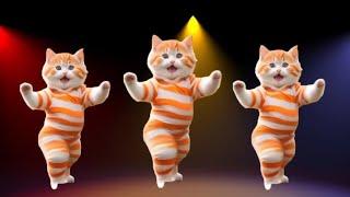 Cat videos funny dance Videos for catsv#funnycats #dancingcat #catlovers  @furry-cornerz