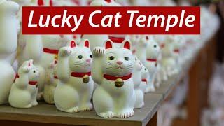 Lucky Cat Temple VISIT Gotokuji in Tokyo