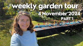 Weekly Garden Tour 3 November 2024 part 1