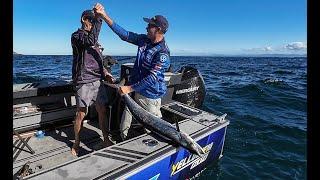 Reel Action series 12 episode 8 NNSW Kingfish and Spanish Mackerel