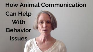 How Animal Communication Can Help With Behavior Issues | Animal Communicator Tracy Pierce