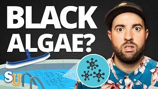 How To Get Rid Of BLACK ALGAE In Your POOL