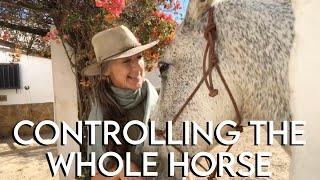 How to Control the WHOLE HORSE