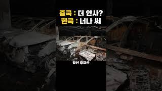 중국아 그냥 너만 써 우리나라 길거리에 전기버스가 흔한 이유와 그 정체 레전드