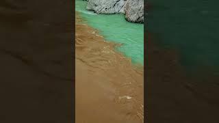 Devprayag Alaknanda Bhagirathi Sangam #devprayag #shorts #youtubeshorts #touristplace