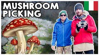 I Went Mushroom Picking in Italy!