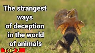 The strangest ways of deception in the animal world!!