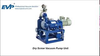 Dry screw vacuum pump installation