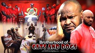 Brotherhood Of Cats And Dogs - Nigerian Movie