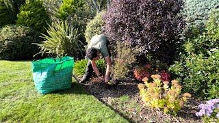 I can’t believe how much some shrubs have grown this year! (Tidy up time)