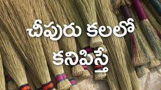 Kalalo Cheepuru Kanipisthe | Cheepuru Kalalo Kanipisthe | Broom In Dreams | Laxmi Devotional