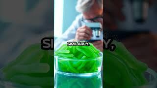 Accidental Inventions That Changed the World Forever!