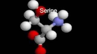 A Video of Molecules