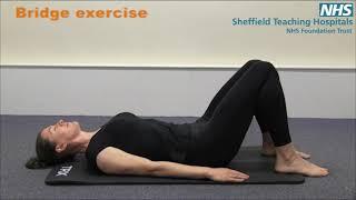 Pelvic health education Bridge exercise