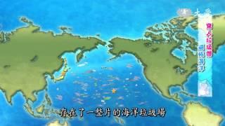 【減塑行動。拯救海洋】海洋生物偵查庭-5 海洋垃圾如何被發現？