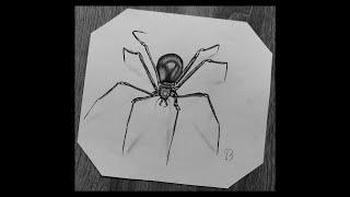 How to Draw a Spider Easy Step by Step