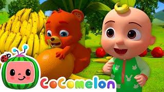 How to Grow Fruit Song | CoComelon Animal Time - Learning with Animals | Nursery Rhymes for Kids
