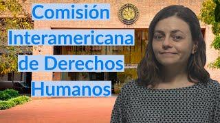 ¿Qué es la CIDH y cuáles son sus funciones?