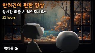 #멍마들  반려견이 편안해지는 음악 | 외출할 때 보여주세요~ (12시간) -  Music that makes your dog comfortable