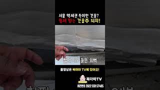 가시성 좋은 서울 역세권 근린주택 | 경매가는 시세보다 반값이나 싸다! |  #shorts