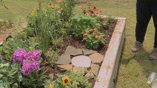 Planting a Butterfly Garden – Family Plot