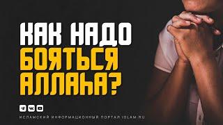 Как надо бояться Аллаха?