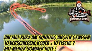 Ultra Light Angeln mit 10 verschiedenen Köder und der Sommer Rute sind es 10 Fische geworden ?