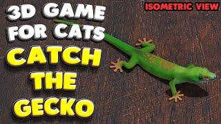 3D game for cats | CATCH THE GECKO (isometric view) | 4K, 60 fps, stereo sound