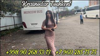 краснодар-ташкент автобус #ростов_на_дану Ташкент автобус #toshkent krasnodar avtobus sochi_anapa_